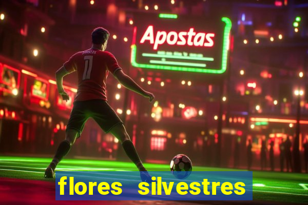 flores silvestres desbravadores desbravadores 25